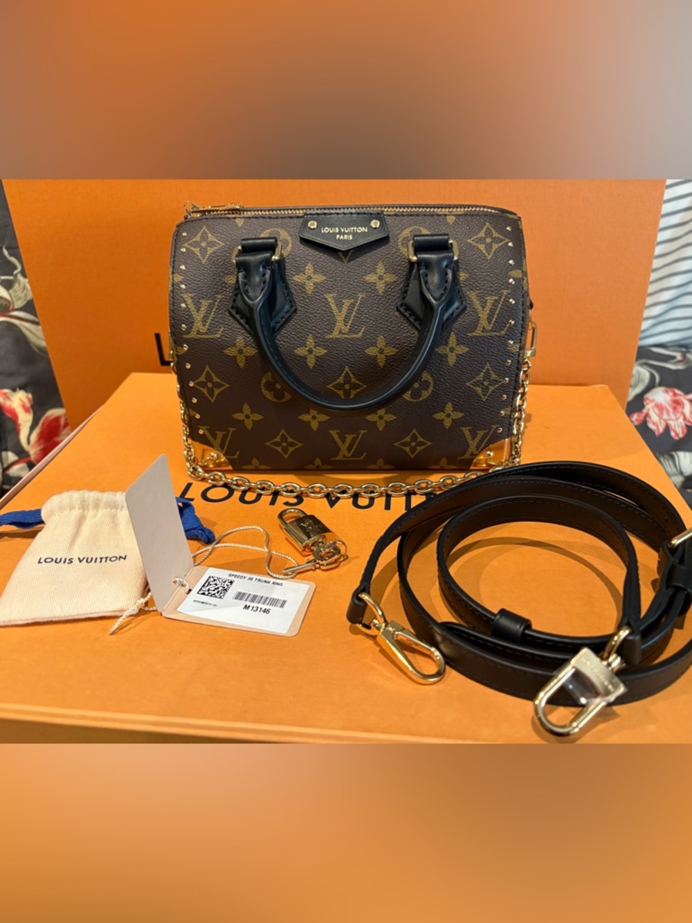 Louis Vuitton speedy trunk 20